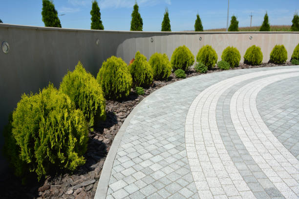 Best Residential Driveway Paver Services  in Buchanan, VA